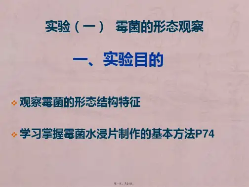 实验二-显微镜的使用-细菌三型的观察-霉菌的形态观察-刘