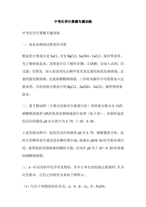 中考化学计算题专题训练