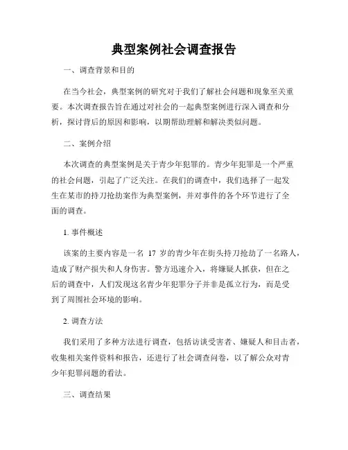 典型案例社会调查报告