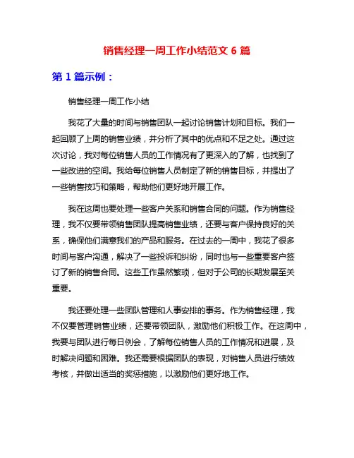 销售经理一周工作小结范文6篇