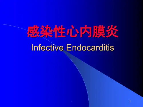 IE感染性心内膜炎PPT课件