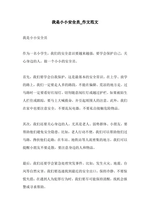 我是小小安全员作文范文