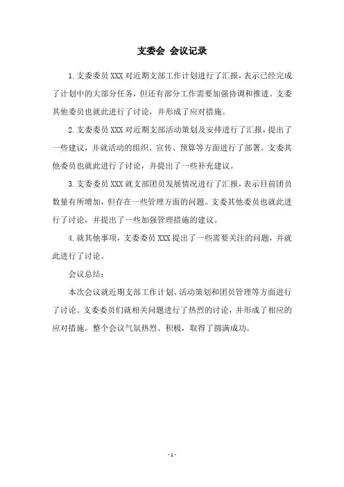 支委会 会议记录