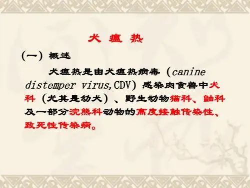 犬瘟热