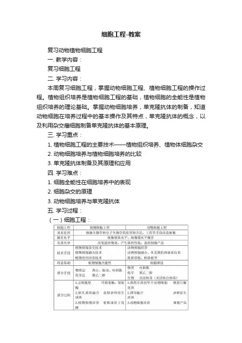 细胞工程-教案