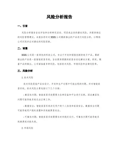 风险分析报告