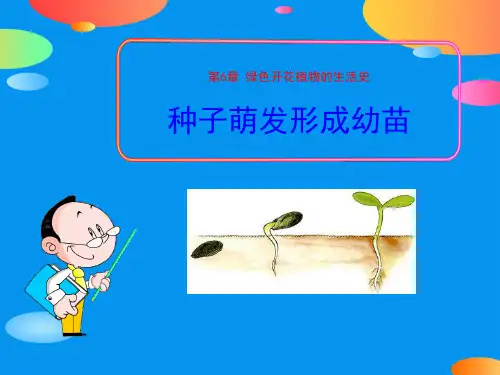《种子萌发形成幼苗》PPT课件【精品推荐课件】