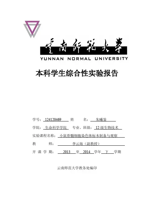 小鼠骨髓细胞染色体标本制备与观察与微核的检验