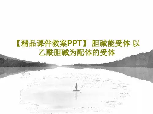 【精品课件教案PPT】 胆碱能受体 以乙酰胆碱为配体的受体PPT18页