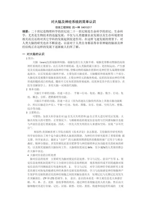 对大脑及神经系统的简单认识