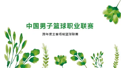 中国男子篮球职业联赛