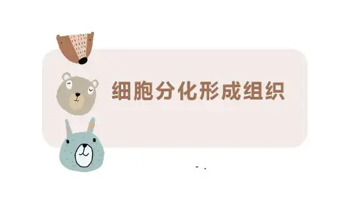 《光合作用》PPT课件