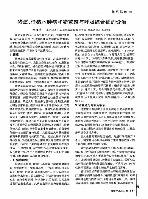 猪瘟、仔猪水肿病和猪繁殖与呼吸综合征的诊治