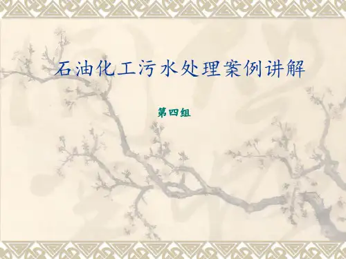 石化废水污染处理案例讲解