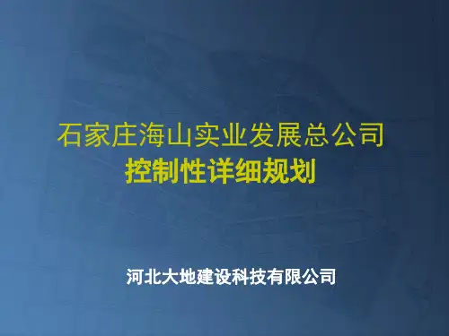 某片区控规汇报
