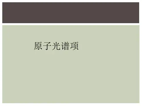 原子光谱项