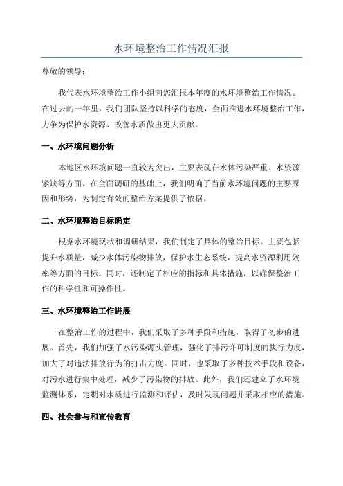 水环境整治工作情况汇报