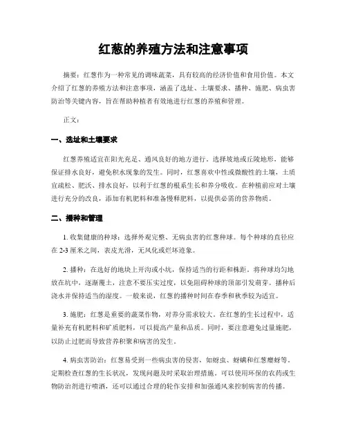 红葱的养殖方法和注意事项