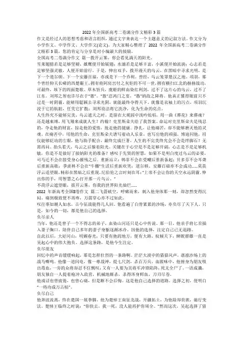 2022年全国新高考二卷满分作文精彩3篇