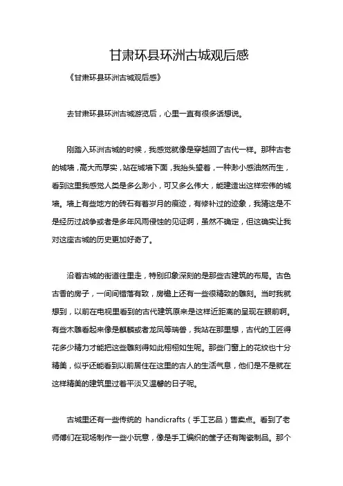 甘肃环县环洲古城观后感