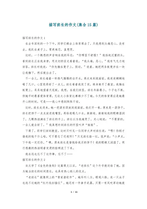描写班长的作文(集合15篇)