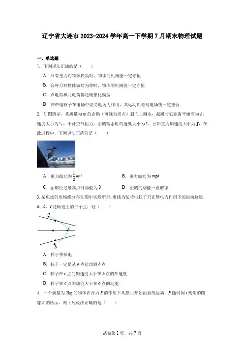 辽宁省大连市2023-2024学年高一下学期7月期末物理试题
