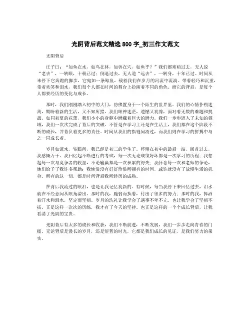 光阴背后范文精选800字_初三作文范文