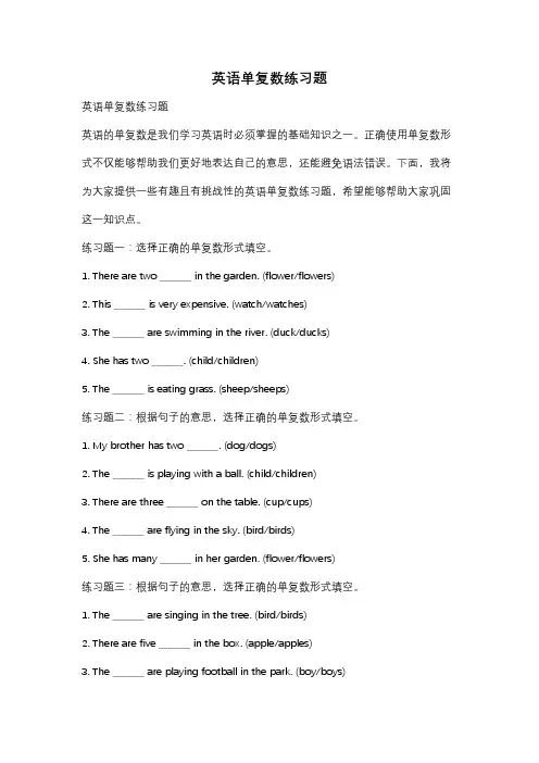 英语单复数练习题