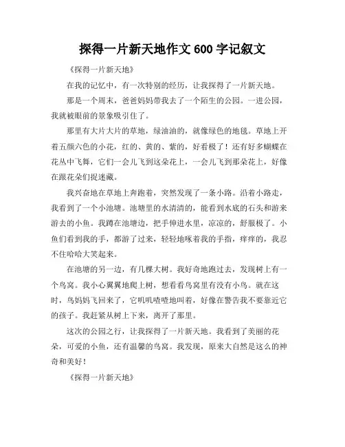探得一片新天地作文600字记叙文