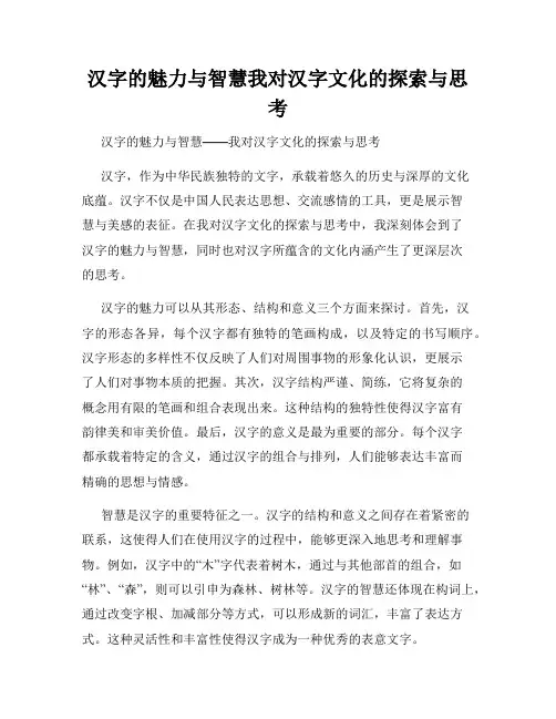 汉字的魅力与智慧我对汉字文化的探索与思考