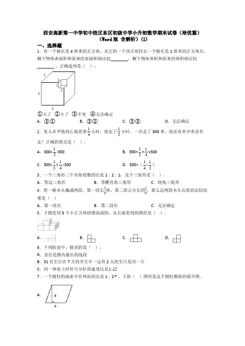 西安高新第一中学初中校区东区初级中学小升初数学期末试卷(培优篇)(Word版 含解析)(1)