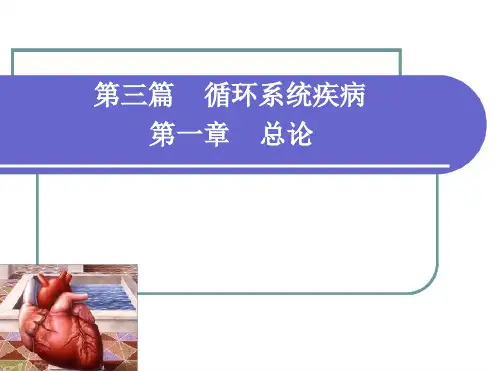 循环系统总论ppt课件