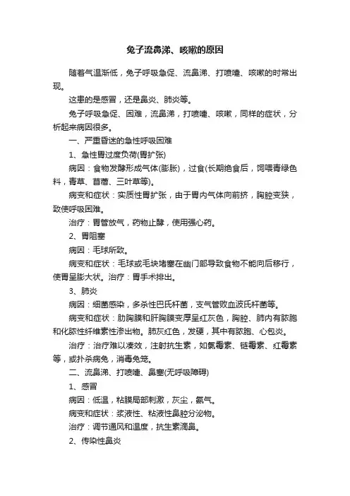 兔子流鼻涕、咳嗽的原因