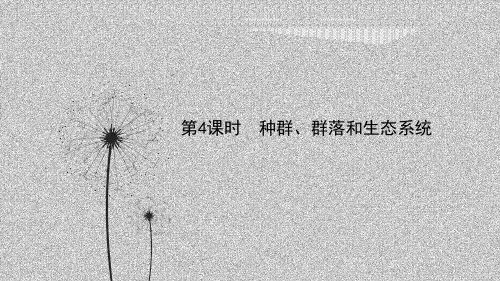 浙教版科学 中考一轮复习 第4课时 种群、群落和生态系统 课件(共37张PPT)
