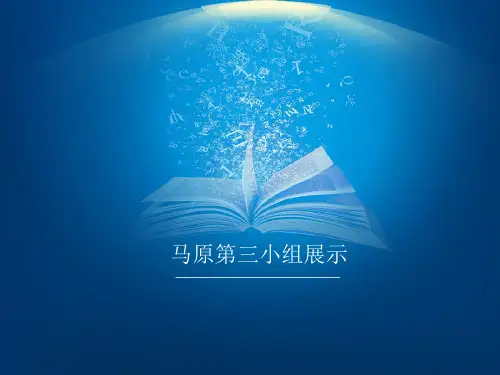 认识与实践 大学马原课PPT展示