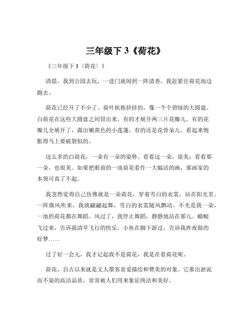三年级下3《荷花》