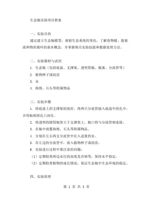 生态瓶实验项目教案