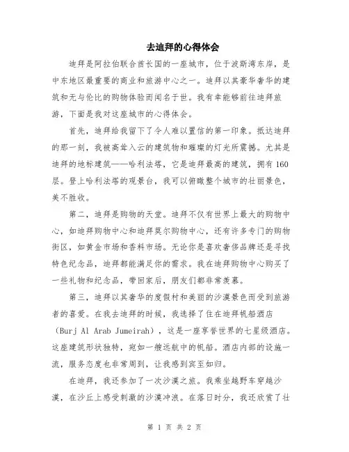 去迪拜的心得体会