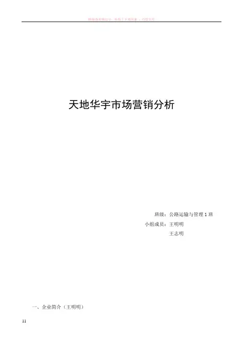 天地华宇市场营销分析最终版