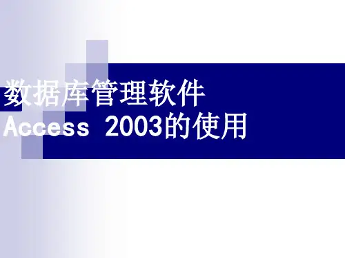 Access2003教程