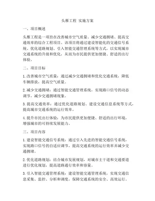 头雁工程 实施方案