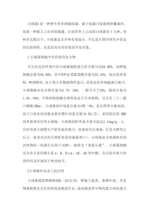小球藻