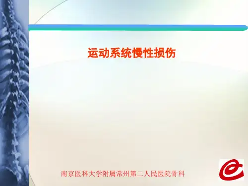 运动系统慢性损伤(PPT)