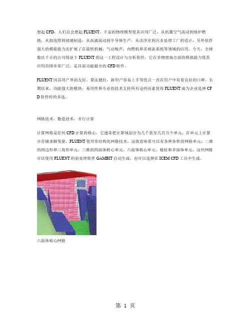 fluent 介绍共9页word资料