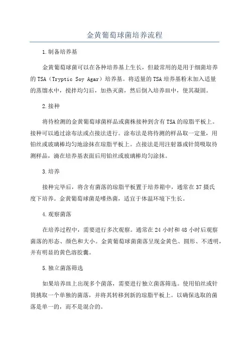 金黄葡萄球菌培养流程