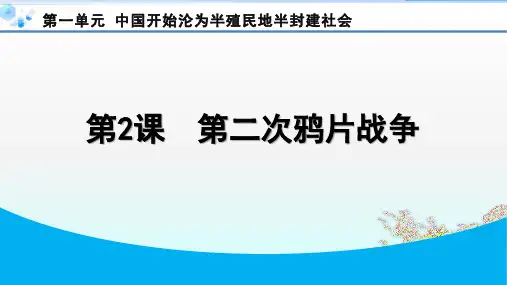 第2课 第二次鸦片战争【课后练】八年级上册历史