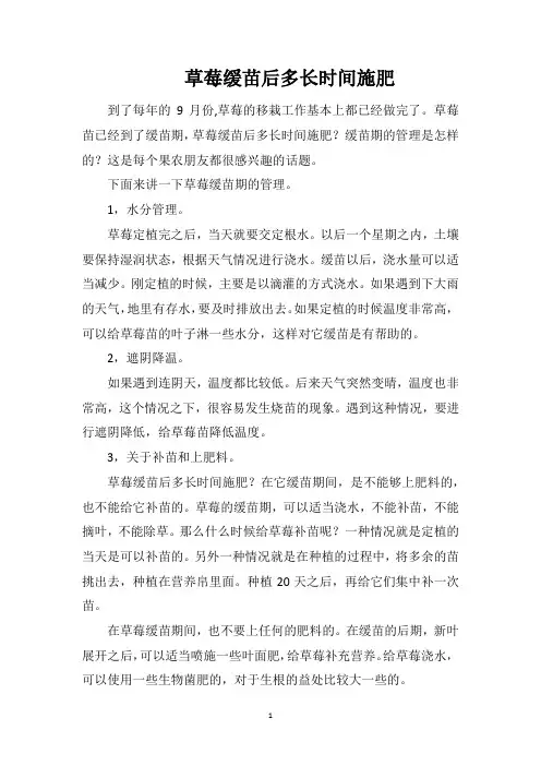 草莓缓苗后多长时间施肥