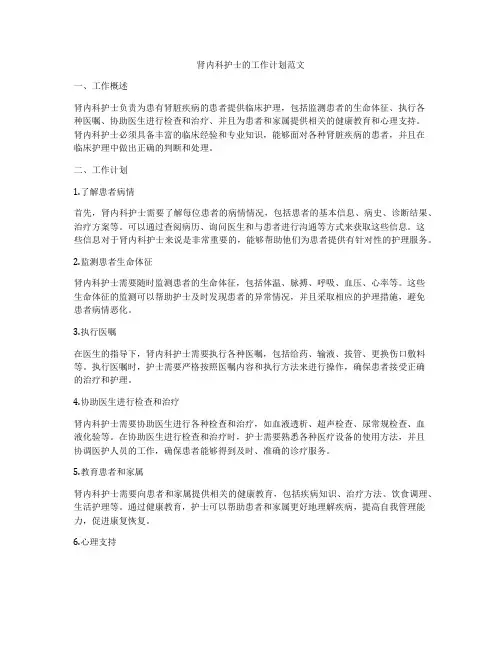 肾内科护士的工作计划范文