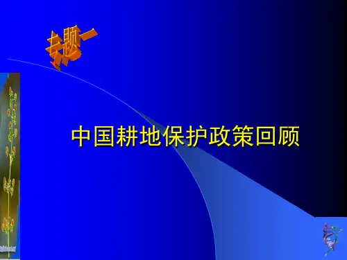 中国耕地保护政策回顾