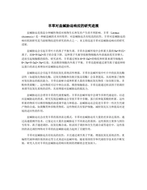 羊草对盐碱胁迫响应的研究进展